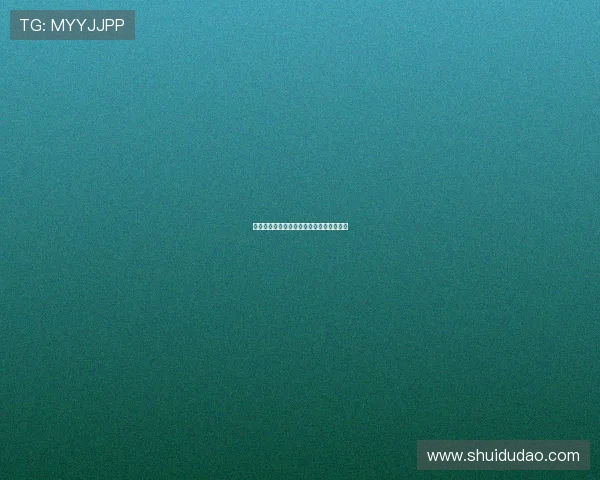 点金者：触碰财富的艺术，点亮未来的奇迹